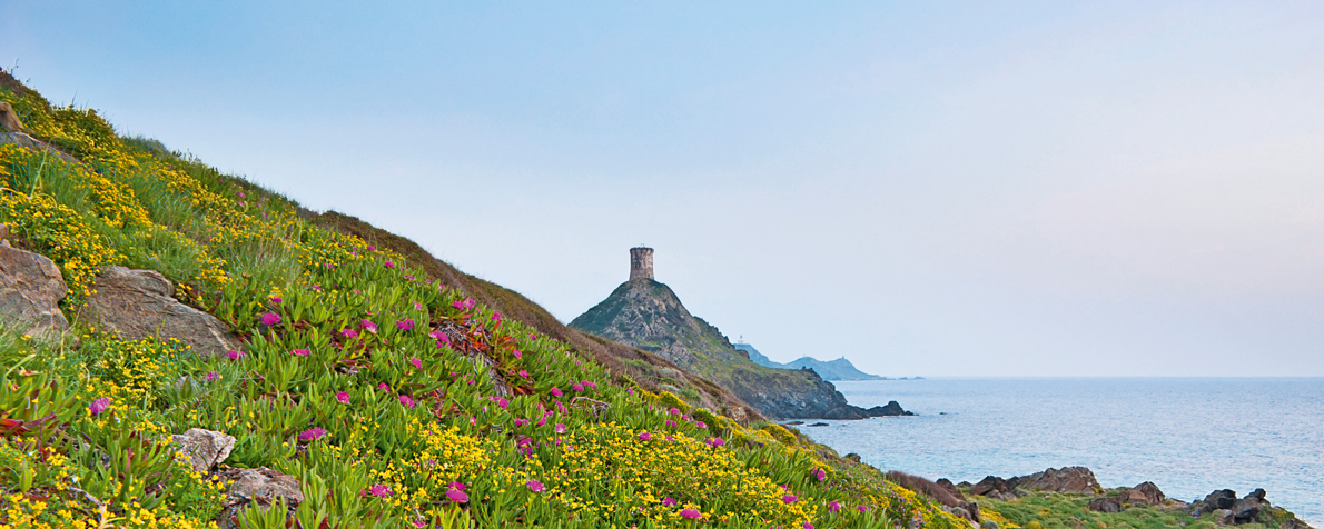 Iles Sanguinaires